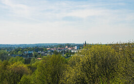 IMG_9055