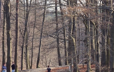 image00023.jpeg