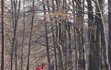 image00021.jpeg