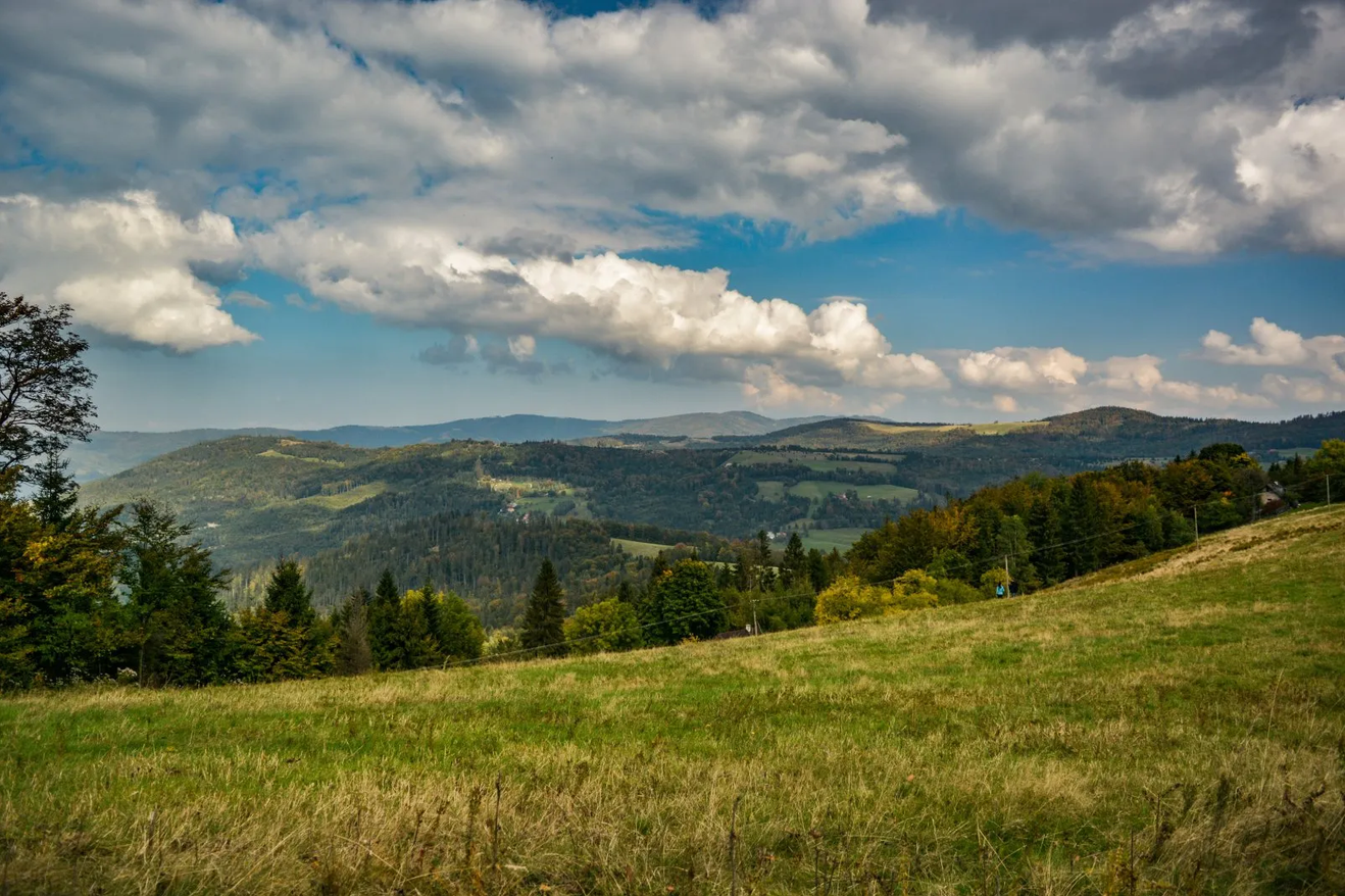 G&oacute;ry, łąka