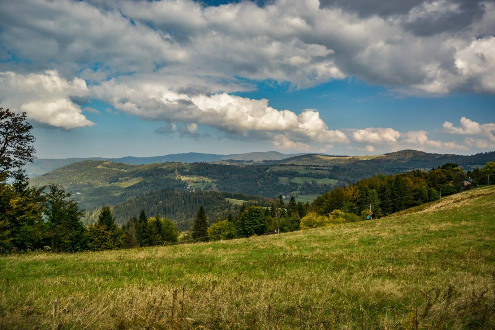 G&oacute;ry
